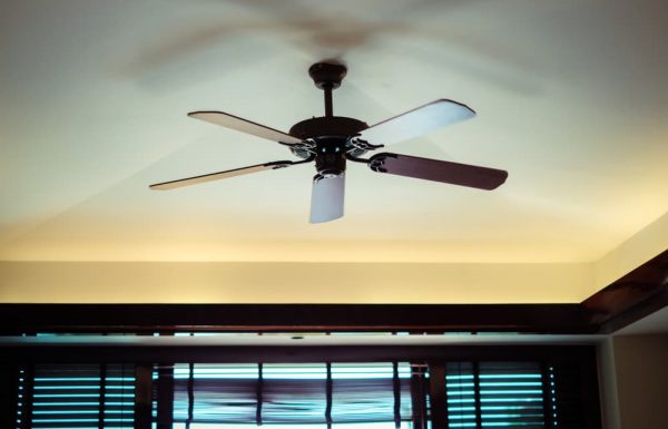 Ceiling fan — Electrical Wholesaler in Cairns, QLD